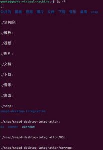 linux10条常用命令行-给我网盘资源