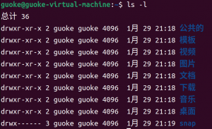 linux10条常用命令行-给我网盘资源