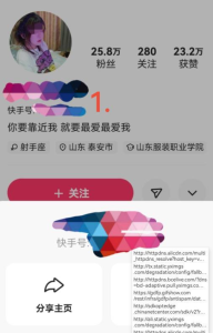 黄鸟抓包,快手100%限流 封号-给我网盘资源