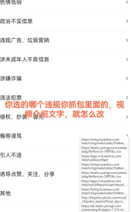 黄鸟抓包，快手100%限流 封号-给我网盘资源