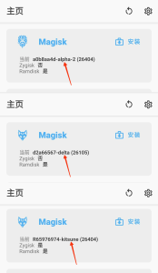 认识不同的面具（Magisk都有哪些版本）-给我网盘资源