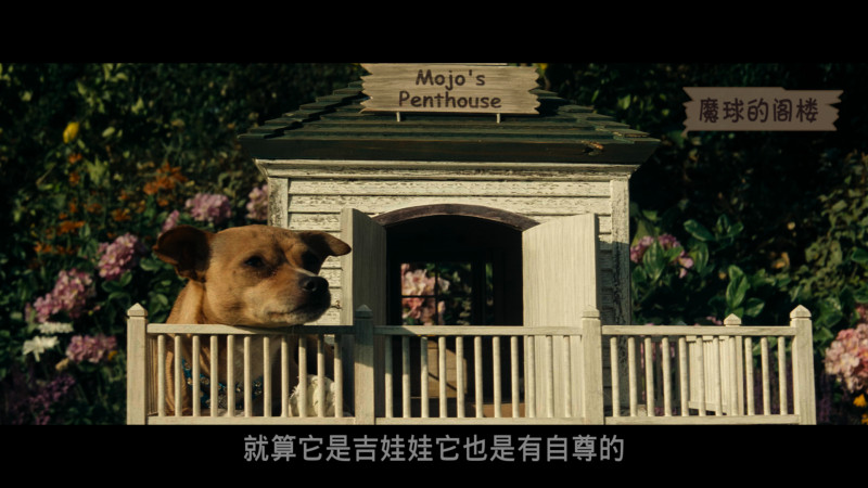 变形金刚（2007）4K HDR 蓝光 国英双语音轨 精品特效字幕  [34.43GB] FRDS