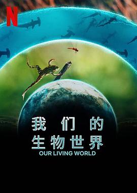 我们的生物世界（2024）-给我网盘资源