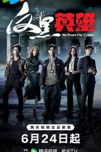 反黑英雄(2024)-给我网盘资源