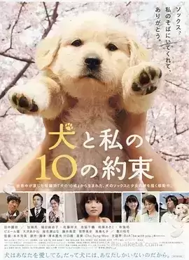 狗狗与我的十个约定 (2008) 1080P 日语中字-给我网盘资源