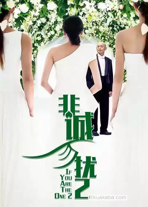 非诚勿扰2 (2010) 1080P 国语中字-给我网盘资源