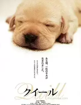 导盲犬小Q (2004) 1080P 国粤日三语中字-给我网盘资源