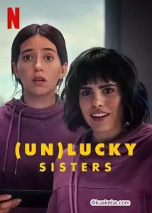 转运姐妹花(2024)1080p 内封简繁-给我网盘资源