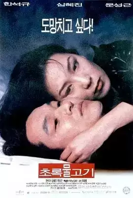 绿鱼 (1997) 720P 韩语中字-给我网盘资源