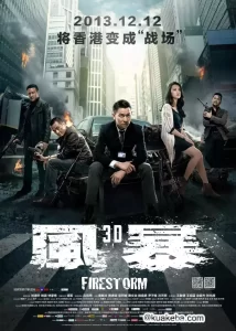 风暴 (2013) 1080P 国语中字-给我网盘资源
