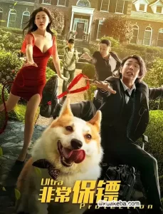 非常保镖 (2021) HD1080P 国语中字-给我网盘资源