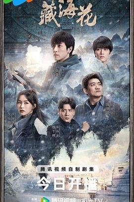 《藏海花》（2024）资源打包 4k 高码率-给我网盘资源