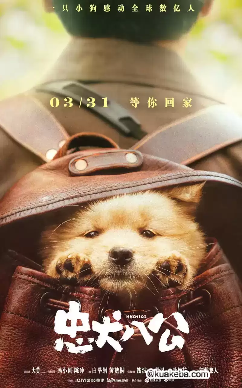 忠犬八公 (2023) 1080P 国语中字-给我网盘资源