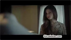 欧美大尺度电影60部 1080P 内嵌中英字幕-给我网盘资源