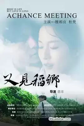 又见稻乡 (2024) 4K/1080P 国语中字 网络最佳影片奖推荐-给我网盘资源