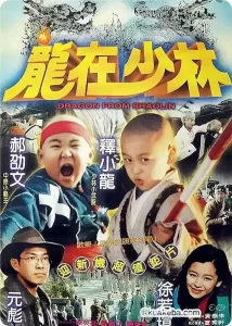 龙在少林 龍在少林 (1996)-给我网盘资源
