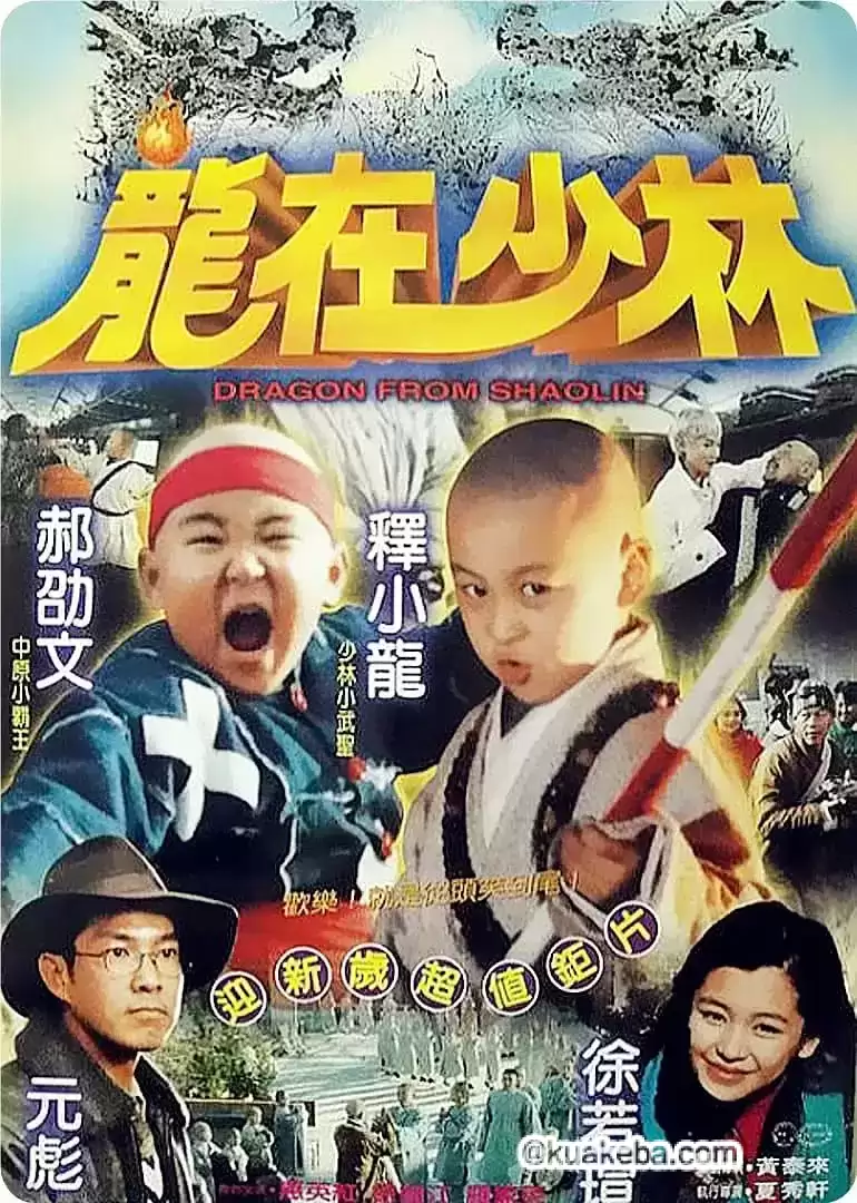 龙在少林 龍在少林 (1996)-给我网盘资源