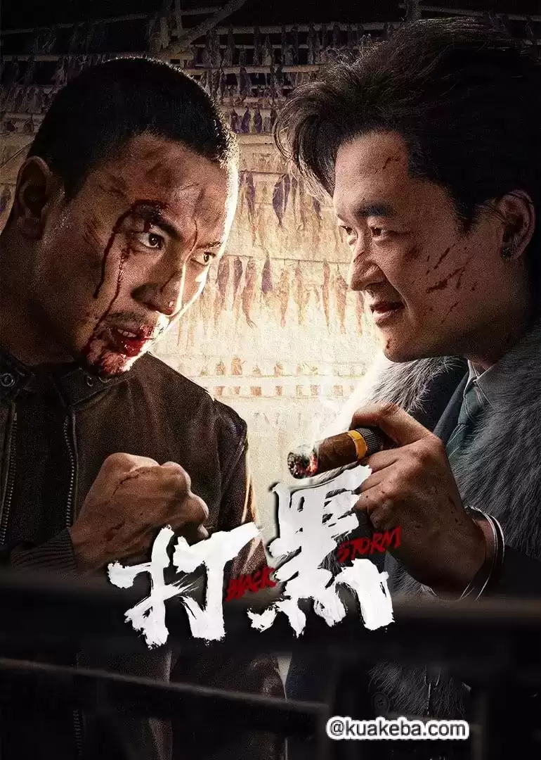 打黑 (2024) 4K /1080P 国语中字-给我网盘资源