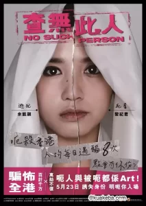 查无此人 (2024) 1080P 国语中字-给我网盘资源