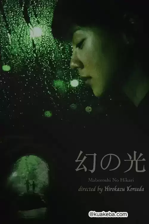 幻之光 (1995) 1080p BDRip 内封简繁-给我网盘资源