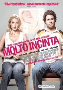 一夜大肚 (2007) 1080P 英语中字-给我网盘资源