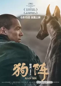 狗阵 (2024) 1080P 国语中字 正式版 彭于晏-给我网盘资源