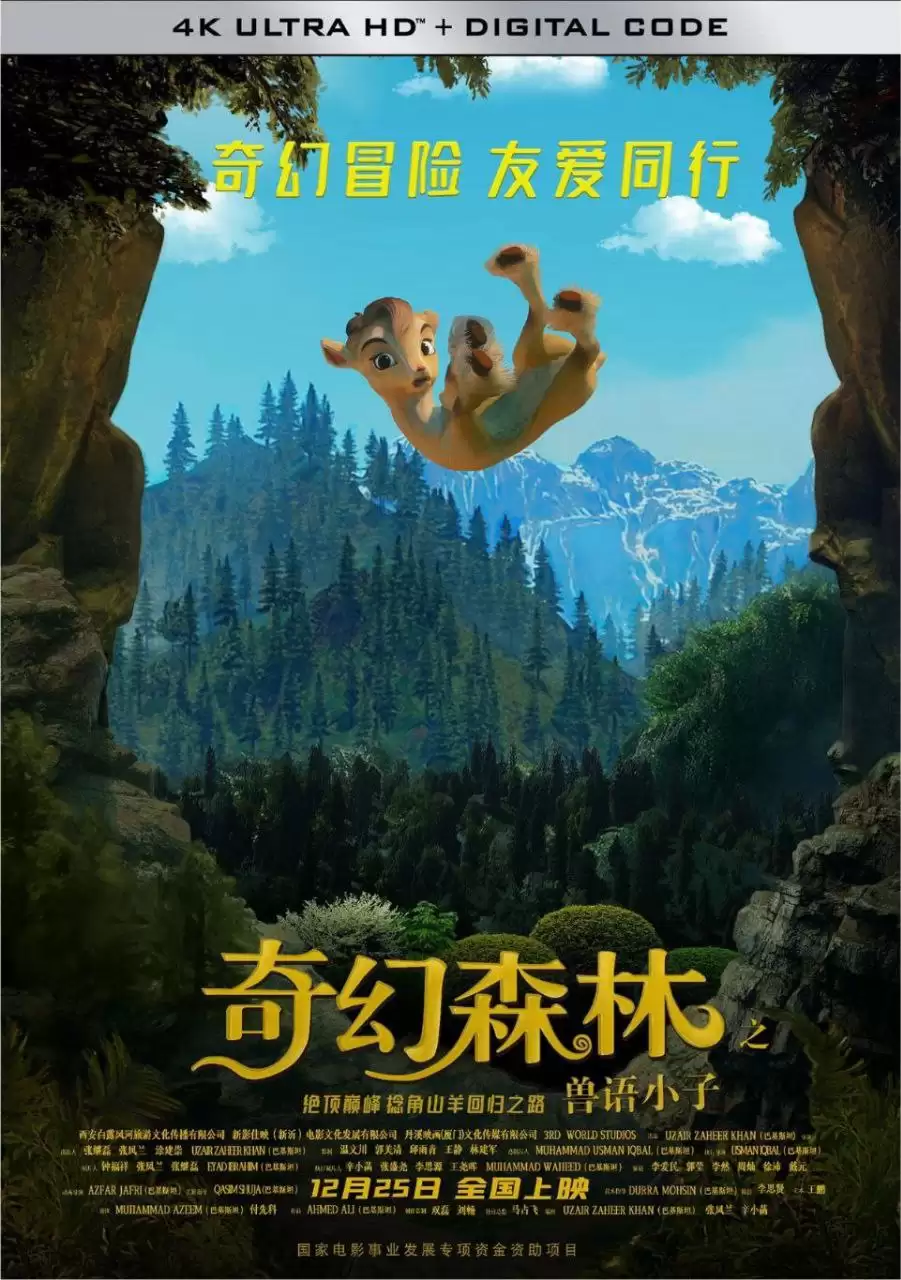 奇幻森林之兽语小子 (2018) 4K 高码 中字硬字幕-给我网盘资源