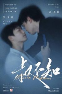 《叔不知》百度云网盘下载.阿里云盘.国语中字.(2024)-给我网盘资源