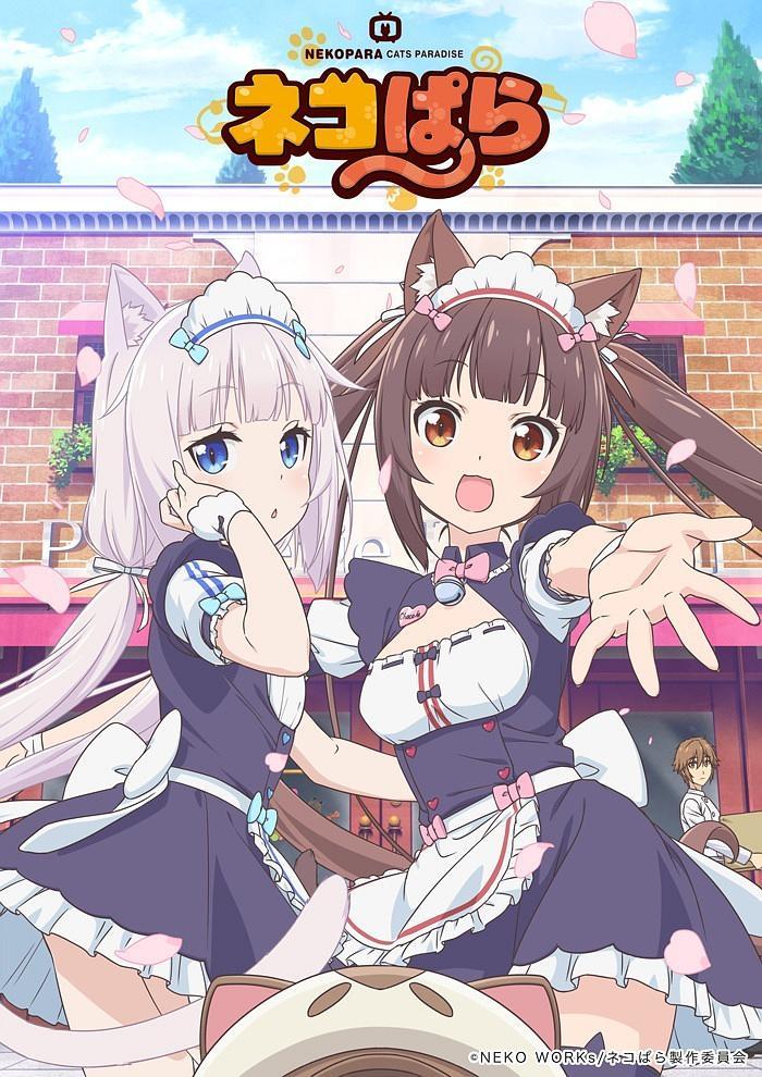 《猫娘乐园》百度云网盘下载線上看[MP4/mkv]超清[BD720P/HD1080P]资源分享（2020）-给我网盘资源