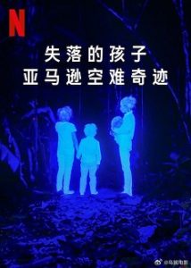 《失落的孩子:亚马逊空难奇迹》百度云网盘下载.阿里云盘.西班牙语中字.(2024)-给我网盘资源