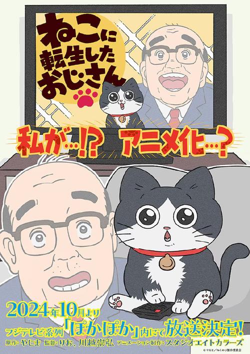 《转生成猫的大叔》百度云网盘下载.阿里云盘.日语中字.(2024)-给我网盘资源