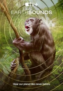 《地球之声》百度云网盘下载.阿里云盘.英语中字.(2024)-给我网盘资源